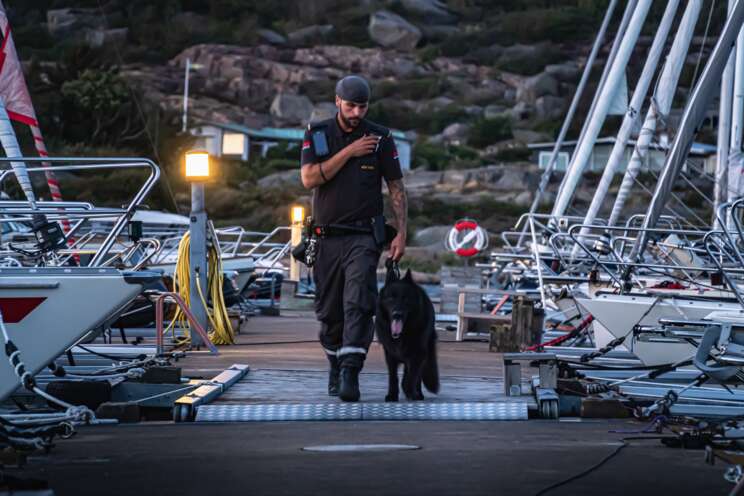 Hundförare och hund patrullerar hamnområde