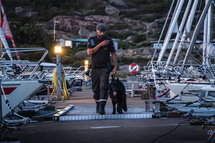 Hundförare och hund patrullerar hamnområde